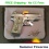 Kimber Micro 9 KHX